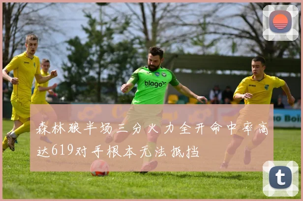 森林狼半场三分火力全开命中率高达619对手根本无法抵挡